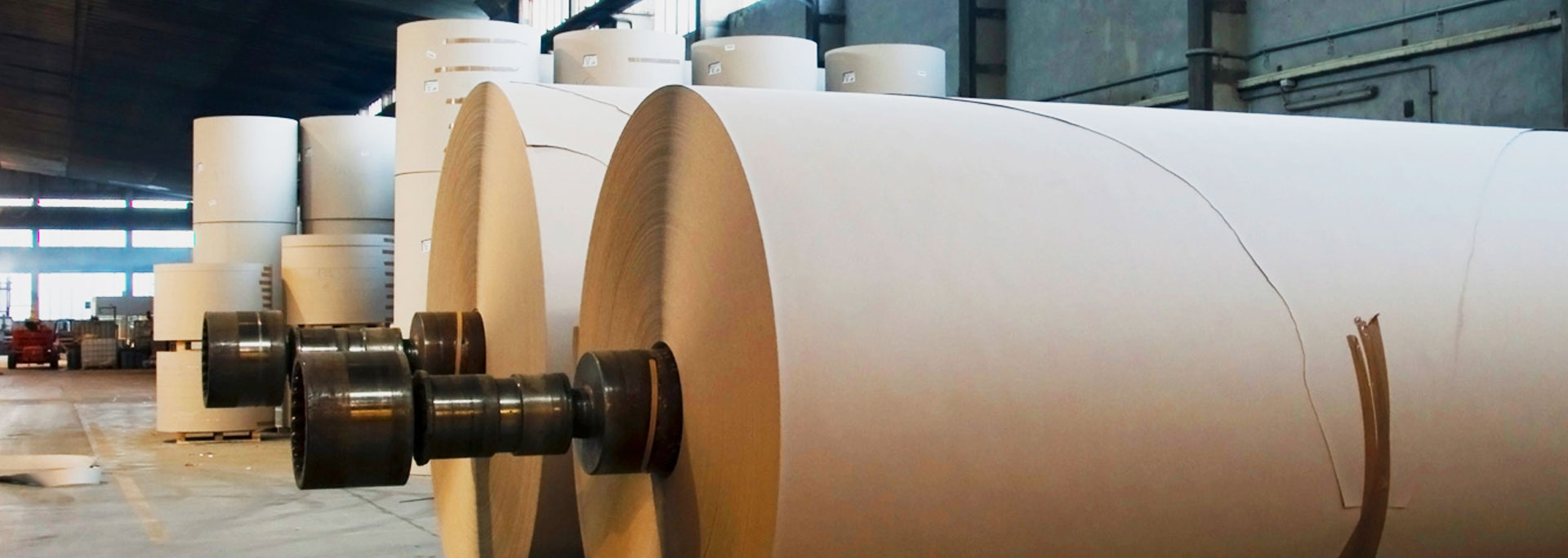 Krishnanchal Pulp & Papers Private Limited